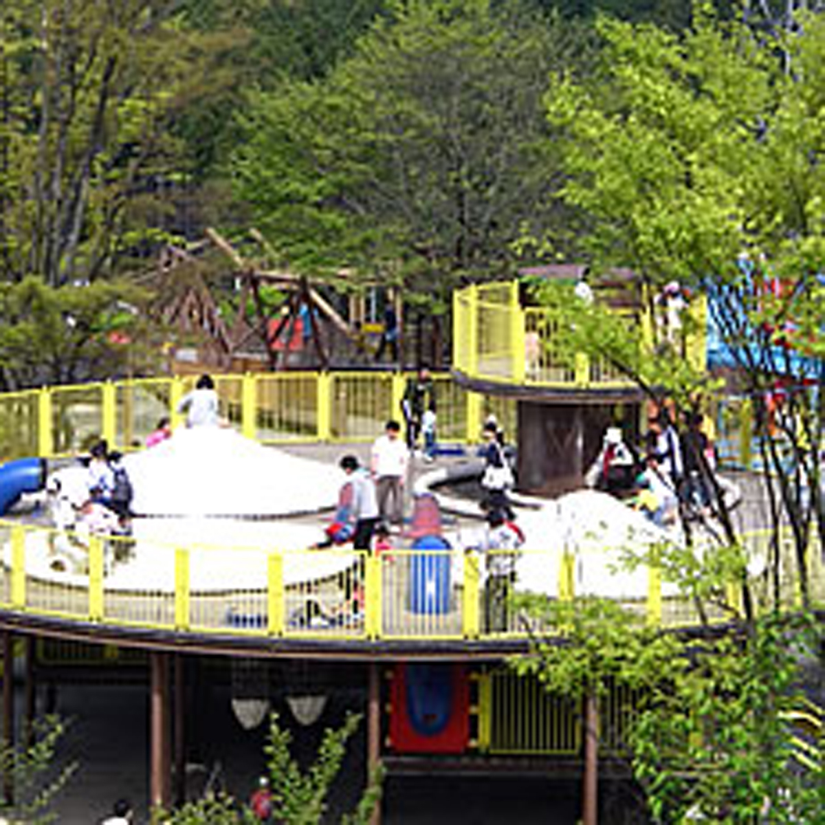 遊びに熱中できる感動と発見の公園 小田原こどもの森公園わんぱくらんどについて